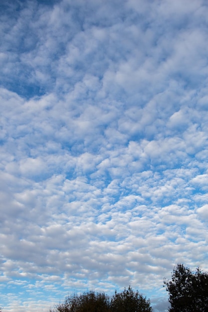 Nubes de color blanco encontradas en el fondo del cielo azul