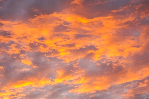 Nubes esponjosas anaranjadas hermosas abstractas en el cielo de la salida del sol fondo colorido de la textura del cielo de la naturaleza