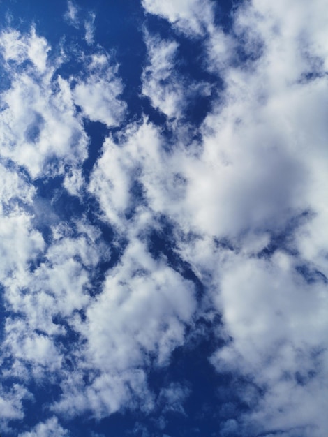 Nubes esponjosas y hermoso cielo de fondo