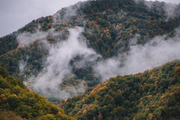 Nubes en la ladera de la montaña de otoño