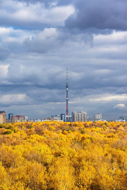 Nubes lluviosas grises sobre el bosque y la ciudad amarillos exuberantes