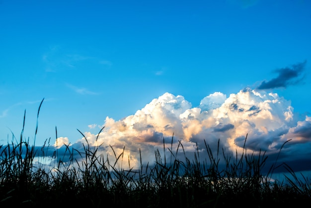 Nubes masivas en el cielo de la tarde con rayos de sol