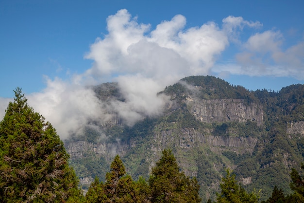 Las nubes en la montaña en el Parque Nacional de Alishan en Taiwán