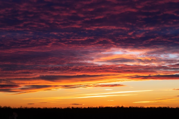 Nubes naranjas y rosadas del cielo del atardecer