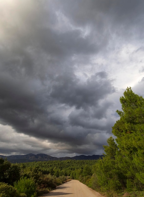 Nubes negras de tormenta en un soleado día de invierno en el bosque y las montañas de la isla griega Evia Grecia