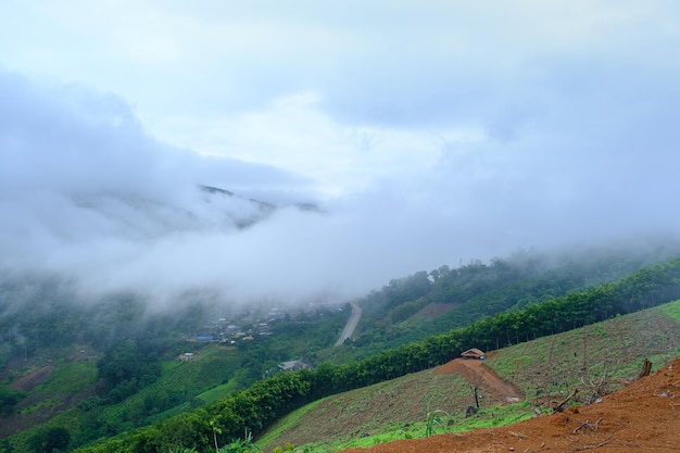 Foto nubes de niebla matutina en la montaña