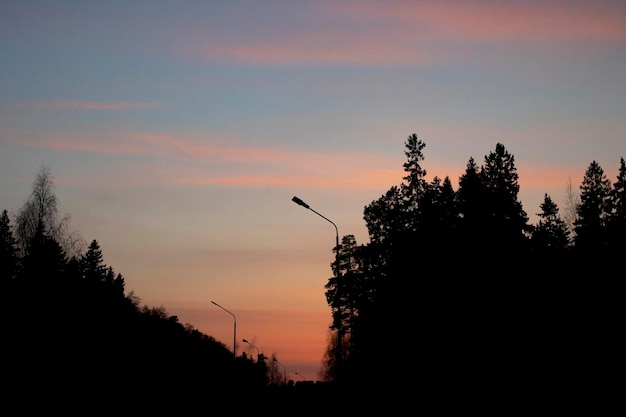 Nubes rosadas al atardecer y siluetas de árboles.