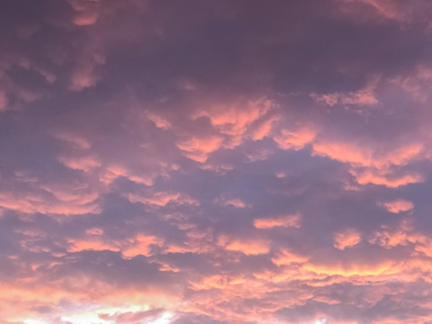 Nubes rosadas en el cielo del atardecer