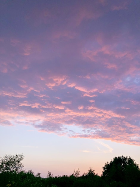 Nubes rosadas en el cielo del atardecer