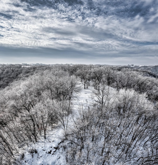 Nubes sobre el bosque en invierno Foto