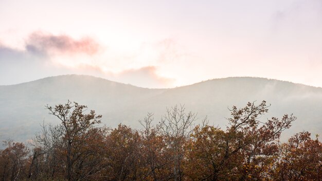 Nubes sobre el bosque de otoño