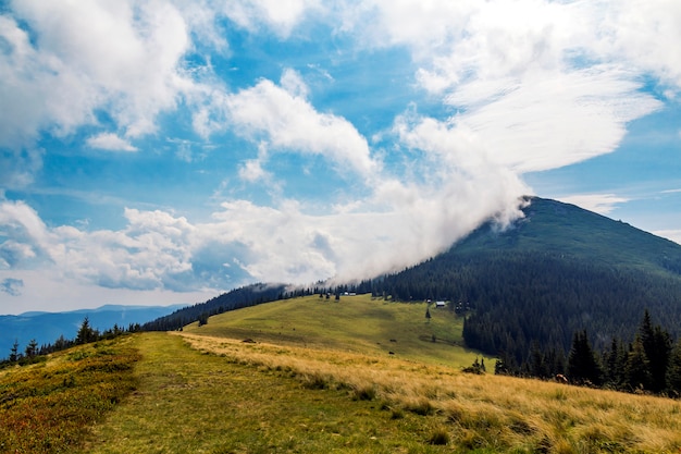 Nubes sobre la cima de una montaña con bosque verde y prado de hierba