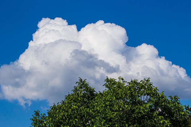 Foto nubes sobre el nogal