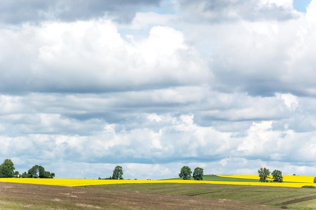 Nubes de tormenta sobre campo agrícola