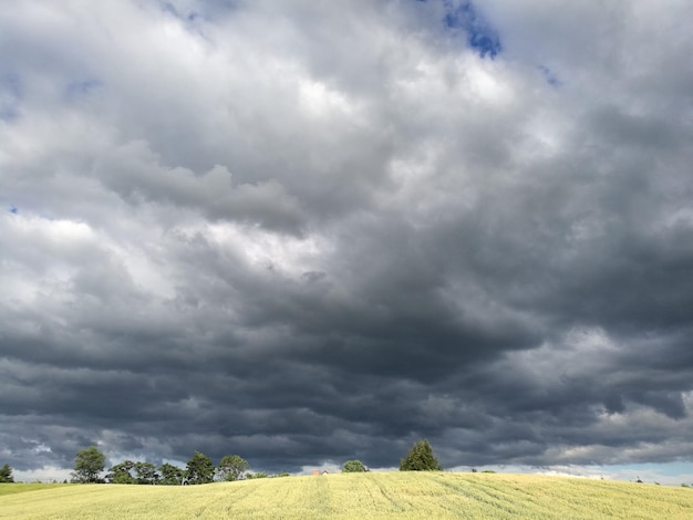 Nubes de tormenta sobre el campo