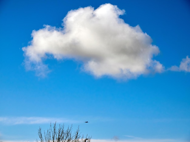 Nubes de verano en el fondo del cielo