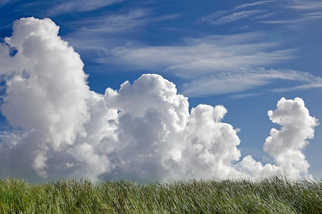 Nubes volumétricas en el cielo azul y hierba de campo verde