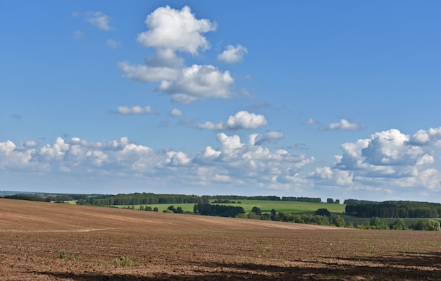 Las nubes vuelan sobre el campo ilimitado