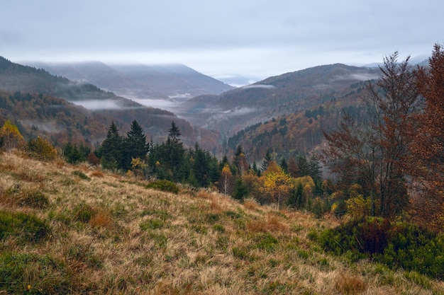 Nublado y brumoso temprano en la mañana otoño escena de las montañas Tranquilo y pintoresco viaje naturaleza estacional y paisaje concepto de belleza escena Montañas de los Cárpatos Ucrania