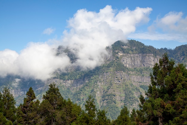 El nublado en la montaña en el parque nacional de Alishan en Taiwán