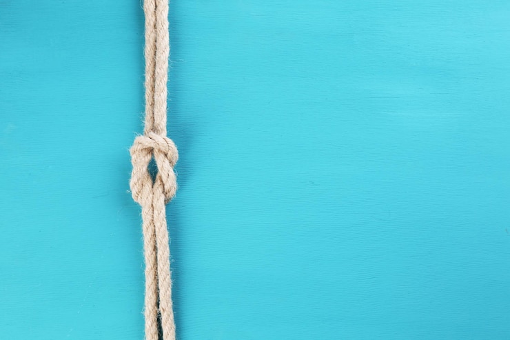Foto nudo marino sobre fondo de madera de color