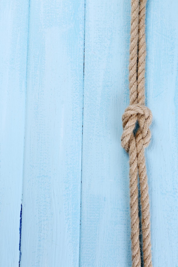 Foto nudo marino sobre fondo de madera