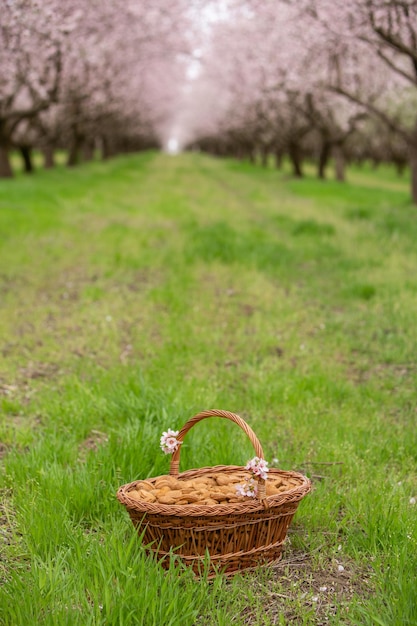 Nueces de almendra en una canasta sobre un fondo de madera