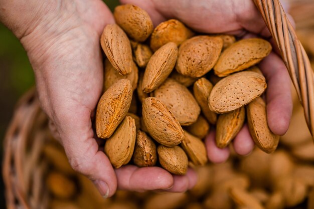 Foto nueces de almendra en una canasta sobre un fondo de madera