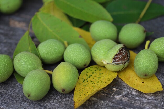 Nueces arrancadas de un árbol en una cáscara verde