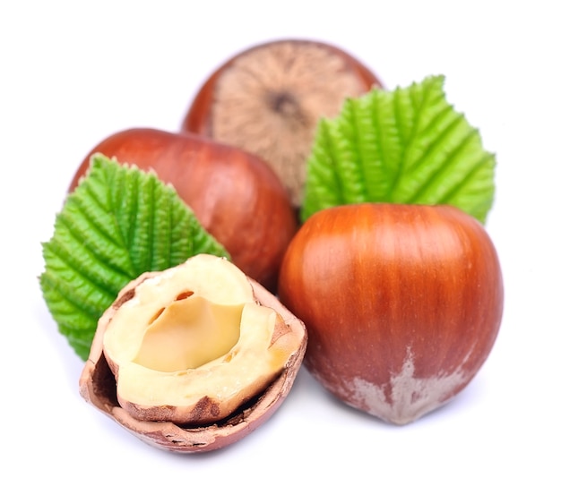 Nueces de avellana con hoja en blanco