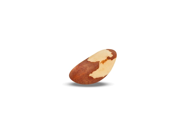 Nueces de Brasil o semillas de Bertholletia excelsa aislado sobre fondo blanco.