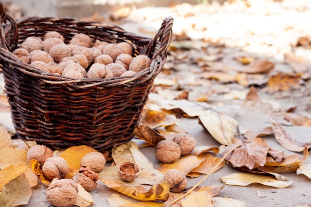 Nueces en una cesta de mimbre sobre un fondo de hojas amarillas caídas