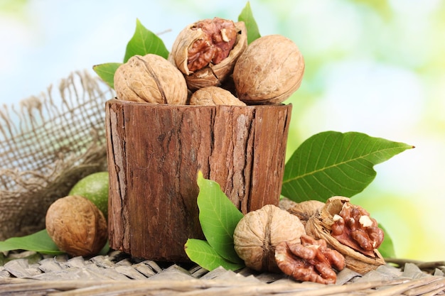 Nueces con hojas verdes en el jardín sobre fondo verde