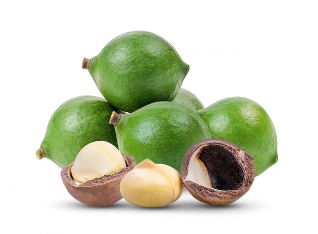 Nueces de macadamia aisladas en blanco