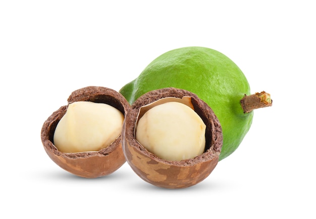 nueces de macadamia aisladas sobre un fondo blanco