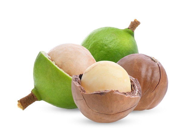 nueces de macadamia frescas aisladas sobre un fondo blanco