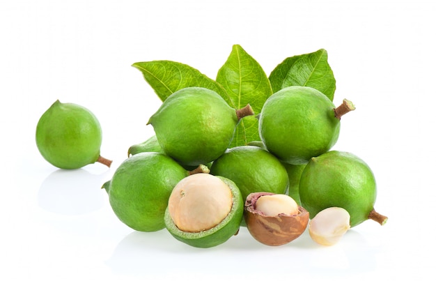 Nueces de macadamia con hojas aisladas en el espacio en blanco.