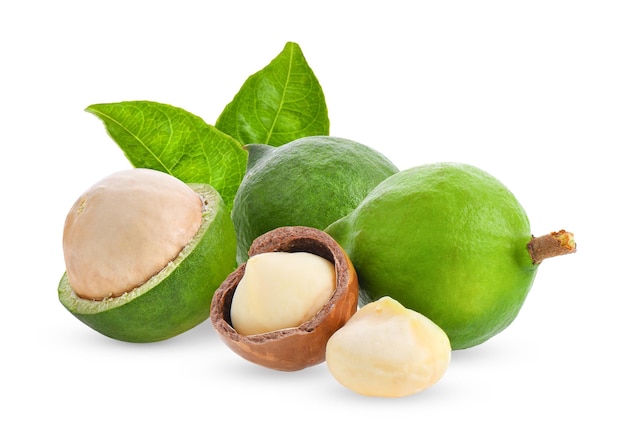 nueces de macadamia con hojas aisladas sobre un fondo blanco