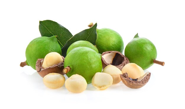 nueces de macadamia con hojas aisladas sobre fondo blanco.