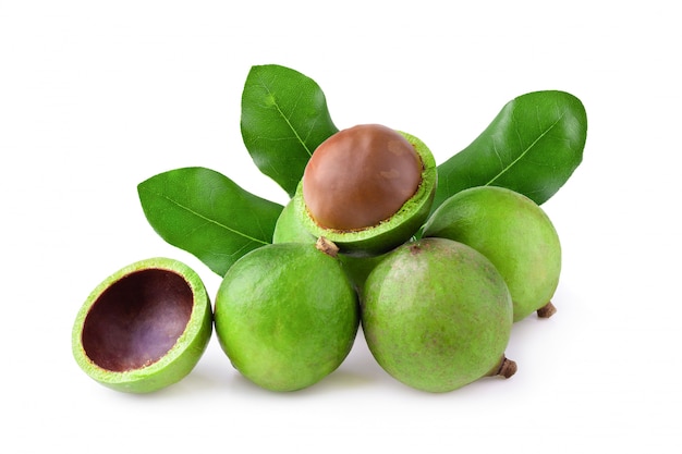 Nueces de macadamia con hojas de macadamia verdes aisladas sobre fondo blanco