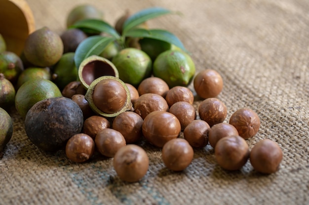 Nueces de macadamia en sacos a la luz natural.