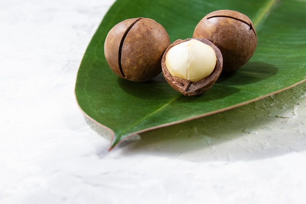 Nueces de macadamia en superficie brillante