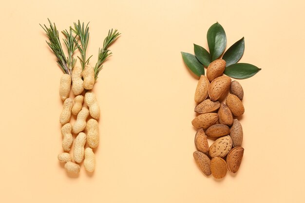 Nueces de maní y almendras saludables en la superficie de color