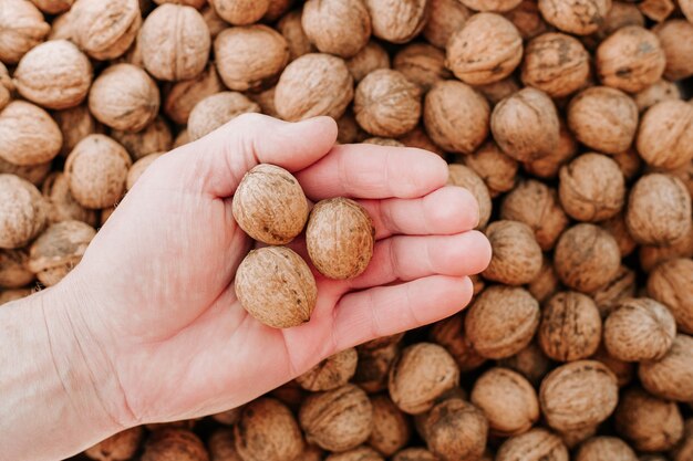 Nueces en la mano del hombre, manos de Hunan sosteniendo tres nueces