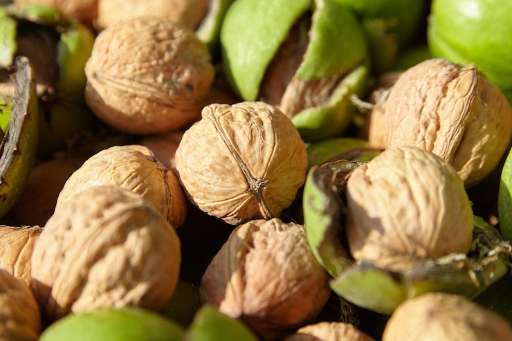 Nueces y nueces con cosecha de pericarpio verde