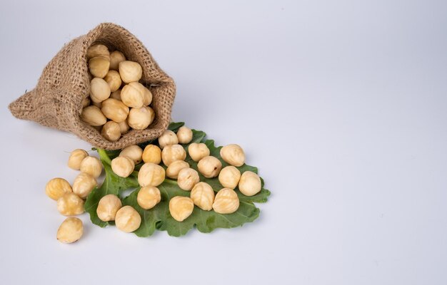 Foto nueces en el saco sobre un fondo blanco. las avellanas se están derramando sobre un fondo blanco y hoja verde.