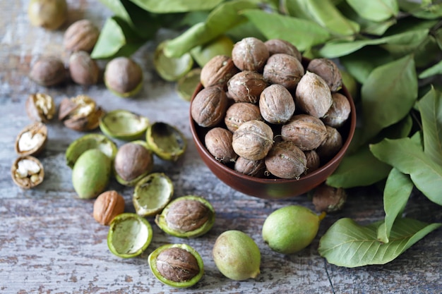 Nueces en un tazón. Las hojas del nogal.