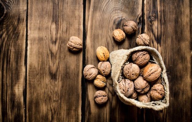 Nueces en la vieja bolsa.