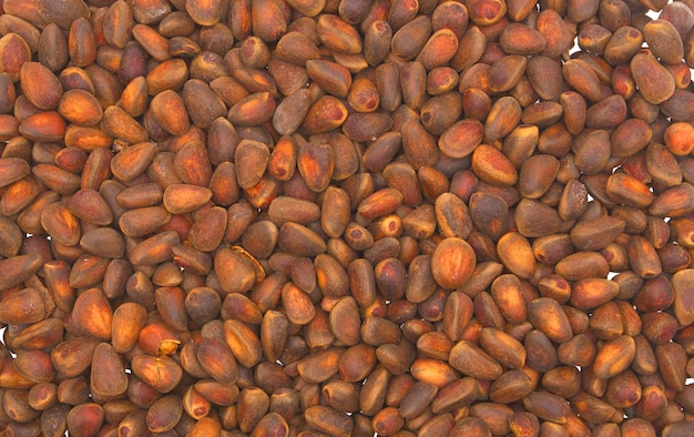 Nueces