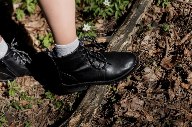 Foto nueva colección de zapatos para mujeres